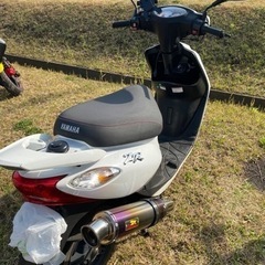 ヤマハZRの画像