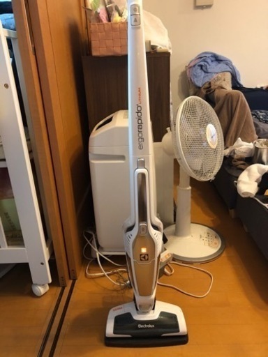 (最終処分)　Electrolux  ergorapids LiTHIUM 白