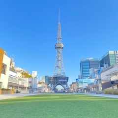 【3/28月or29火・名古屋市内】一緒に桜を撮りに行ってくださる方探しています − 愛知県