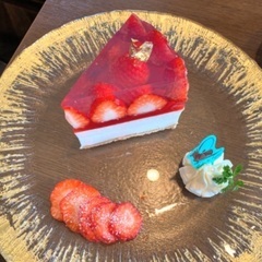 【3/28月or29火・名古屋市内】一緒に桜を撮りに行ってくださる方探しています - メンバー募集