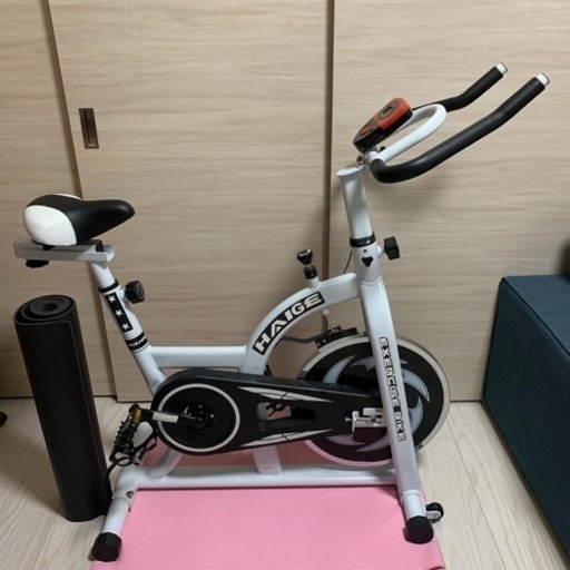 【美品】【引き取り限定】【要事前コメント】ハイガー　スピンバイク