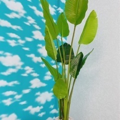 Ｎｏ．021🌿観葉植物120㎝　タグ付き　未使用品