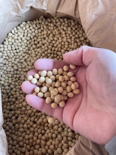 鳥取産　大豆　30キロ