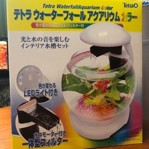 インテリア水槽
