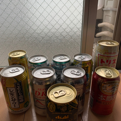 お酒　ビール　酎ハイ　ハイボール　10缶