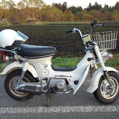 ホンダ シャリーの画像