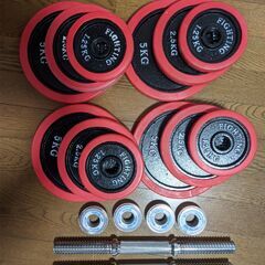 自宅筋トレセット　ダンベル　ベンチ　ぶら下がり健康器