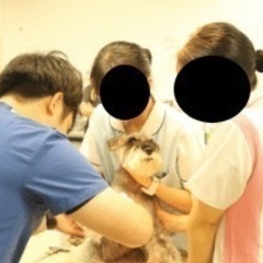 🐶🐱動物看護師のアルバイト募集ありませんか？