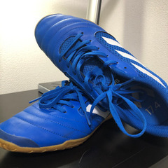 アディダスのフットサルシューズです。普通に履く靴でも使用可能です．