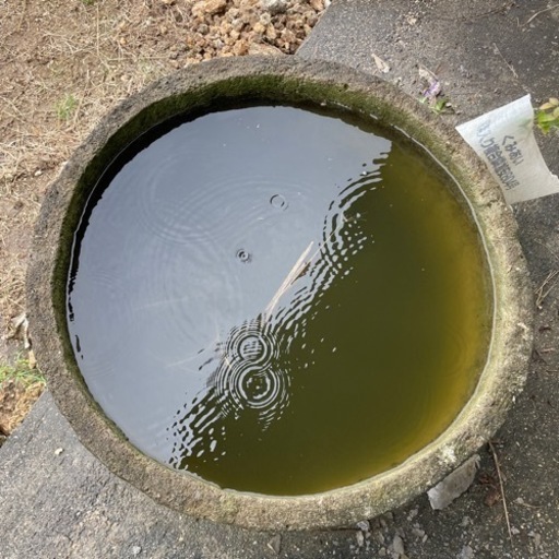 大昔の石の水タンク（もう製造されていないレア物）