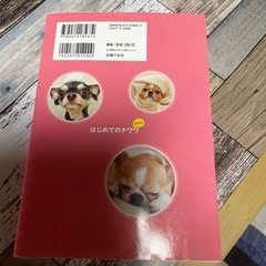 お値下げはじめてのチワワの本　飼い方　しつけ　お手入れの画像