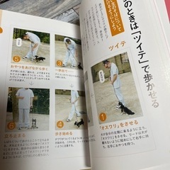 お値下げはじめてのチワワの本　飼い方　しつけ　お手入れの画像