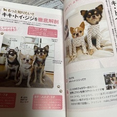 お値下げはじめてのチワワの本　飼い方　しつけ　お手入れの画像