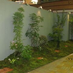 造園工・観葉植物部門の社員の募集のお知らせの画像