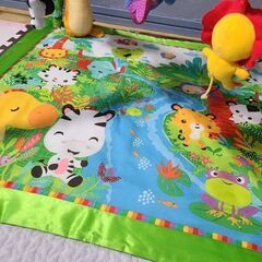 フィッシャープライス　レインフォレスト　プレイジムの画像