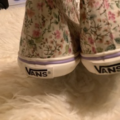 Vanz スニーカーの画像
