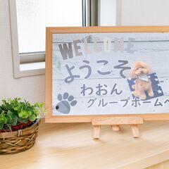 ★ペット共生型障害者グループホーム管理者候補（わおん船橋）の画像