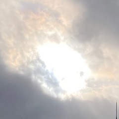 アニマルコミュニケーション　in姪浜