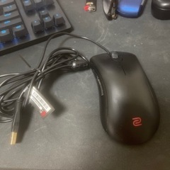 BenQ EC1 ゲーミングマウスの画像