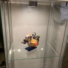 ショーケースの画像