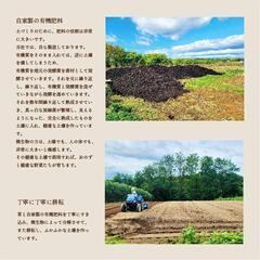 週３・4日の農援隊募集！の画像