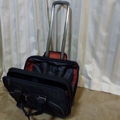 サムソナイト ２輪 ビジネスキャリーバックの画像