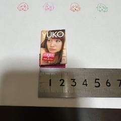AKB48 ぷっちょ付録の画像
