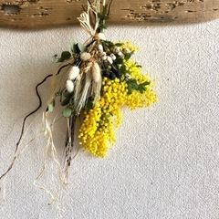ツル素材の画像