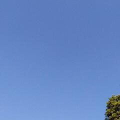 たち！ - メンバー募集