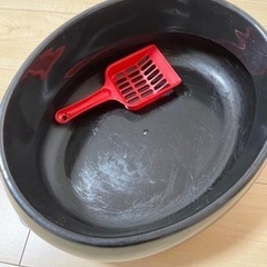 猫トイレ