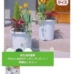 ※値下げ　　未使用 大きめ 上木鉢　ティルトケンガイ鉢 12号　ゴミ箱 や 長物入れ などにもの画像
