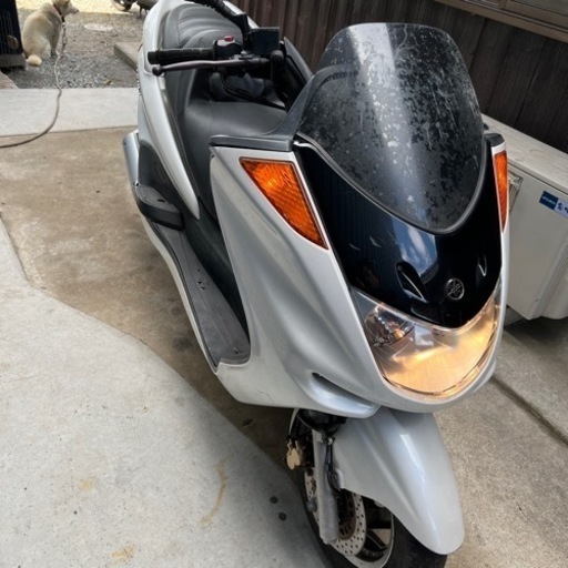 ヤマハ　マジェスティ250 エンジン始動
