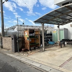 3月27日販売