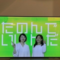 LG製55型有機ELテレビ　OLED55C7Pの画像