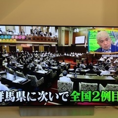 LG製55型有機ELテレビ　OLED55C7P