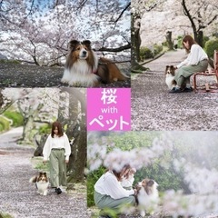 🌸ペットモデル募集🌸