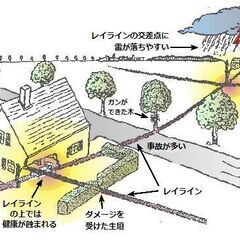 特別企画セミナー　ダウジング「ジオパシックストレス＆風水と家相」...