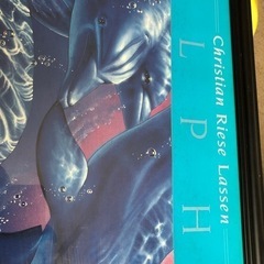 DOLPHIN ENVIRONMENTの画像
