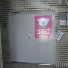 コペルプラス横須賀教室　横須賀中央駅徒歩５分 発達児童支援スクールの画像