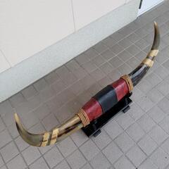 水牛の角　オブジェ　置物　台付きの画像