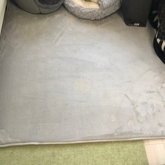 ペット用カーペット130×190cm【汚】の画像