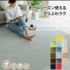 ペット用カーペット130×190cm【汚】の画像