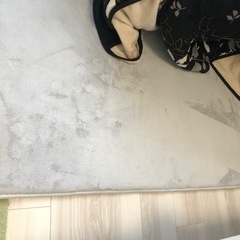 ペット用カーペット130×190cm【汚】の画像