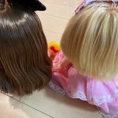 ソランちゃん、ネネちゃんの画像