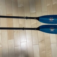 バイキングカヤック忍セットの画像