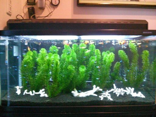 観賞魚用90cm水槽セット、水槽台、備品等