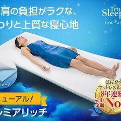 トゥルースリーパー 低反発まくら 2個