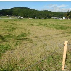 ★貸土地★    豊能郡能勢町地黄　463坪　#資材置き場　＃トラック駐車場　#車両置き場 - 土地販売/土地売買