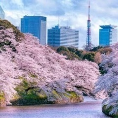 3／28日井の頭公園のお花見＆お散歩🌸