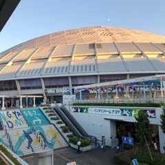 2022 ㊗️プロ野球開幕　中日ドラゴンズ⚾️